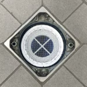 Ecobug Bodengeruchsverschluss